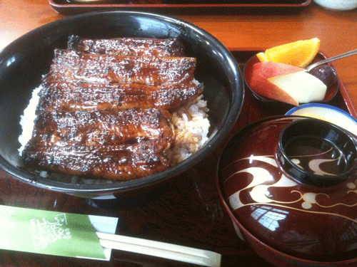 unagi1.gif