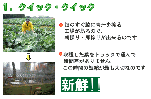 ピカイチ野菜くんの青汁の秘密１