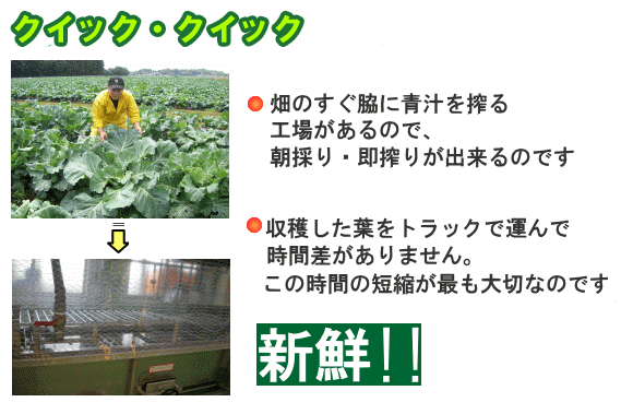 ピカイチ野菜くんの青汁の秘密３